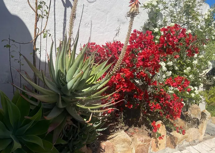 Casa Beccari Сasa de vacaciones