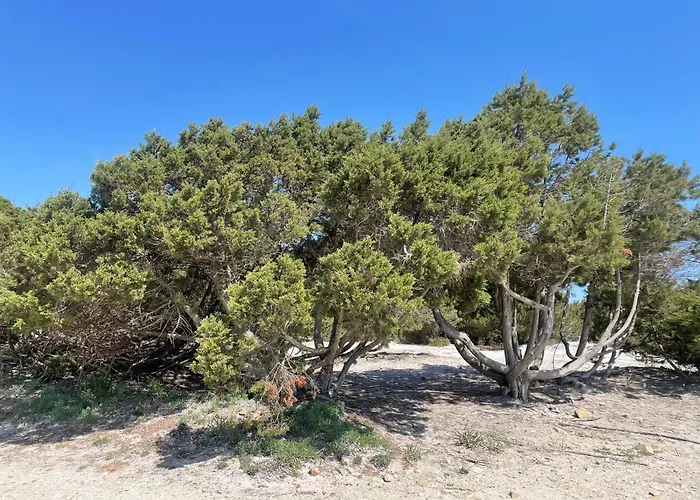 Casa Beccari Сasa de vacaciones *
