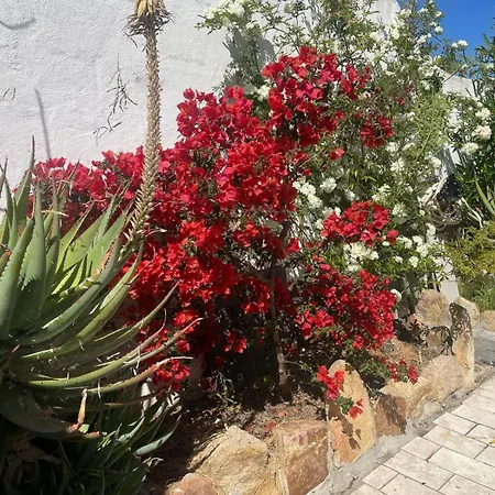 Holiday home Casa Beccari Cala Liberotto