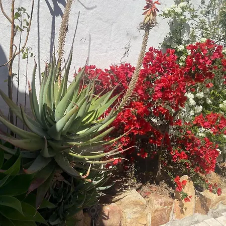 Casa Beccari Holiday home