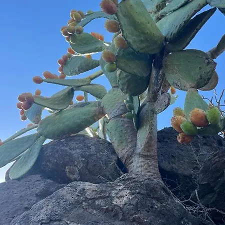 Casa Beccari Holiday home Cala Liberotto