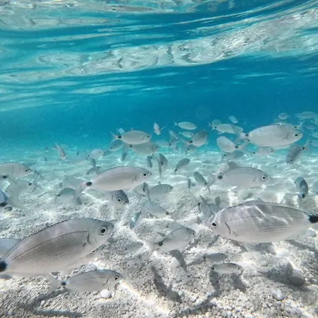 Casa Beccari Cala Liberotto