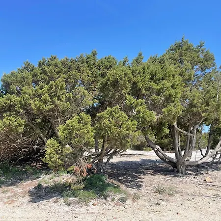 Casa Beccari Holiday home *