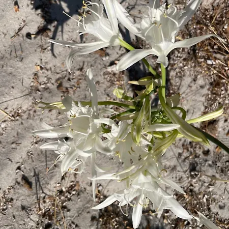 Casa Beccari Holiday home